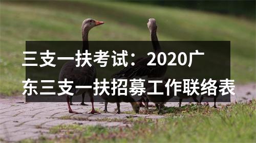 三支一扶考试：2020广东三支一扶招募工作联络表 图片