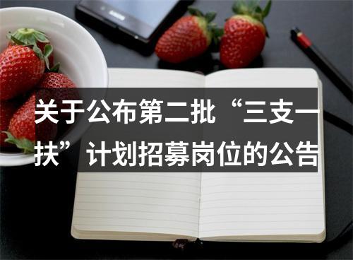 关于公布第二批“三支一扶”计划招募岗位的公告 图片