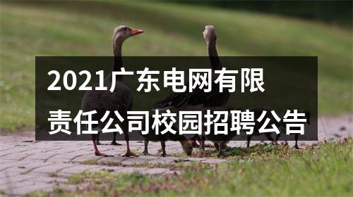 2021广东电网有限责任公司校园招聘公告 图片