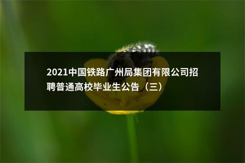 2021中国铁路广州局集团有限公司招聘普通高校毕业生公告（三） 图片