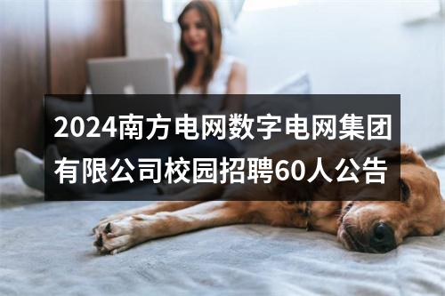 2024南方电网数字电网集团有限公司校园招聘60人公告 图片